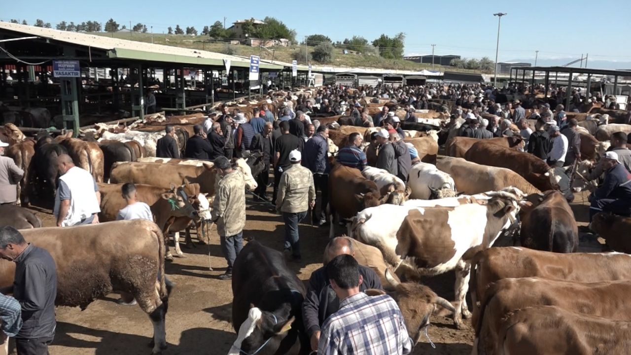 Malatya’da Kurban Pazarı Hareketli, Satışlar Durgun