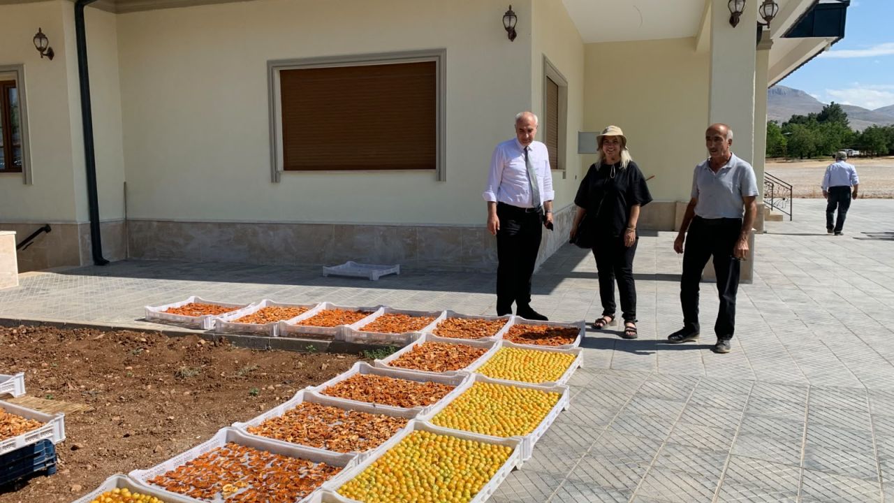 Tarım Müdürlüğünden Kayısı Bahçelerine Saha Çıkarması